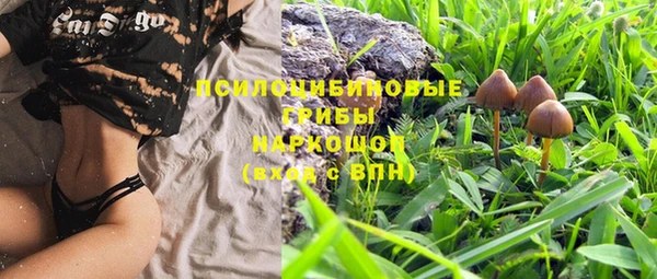 ешки Елабуга