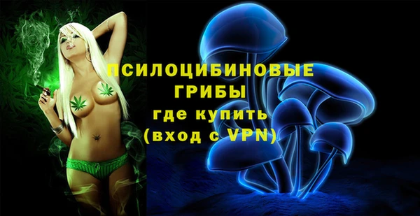 бутират Елизово