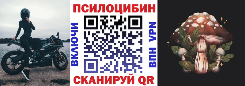 Галлюциногенные грибы Cubensis  Купить закладки  Хадыженск 